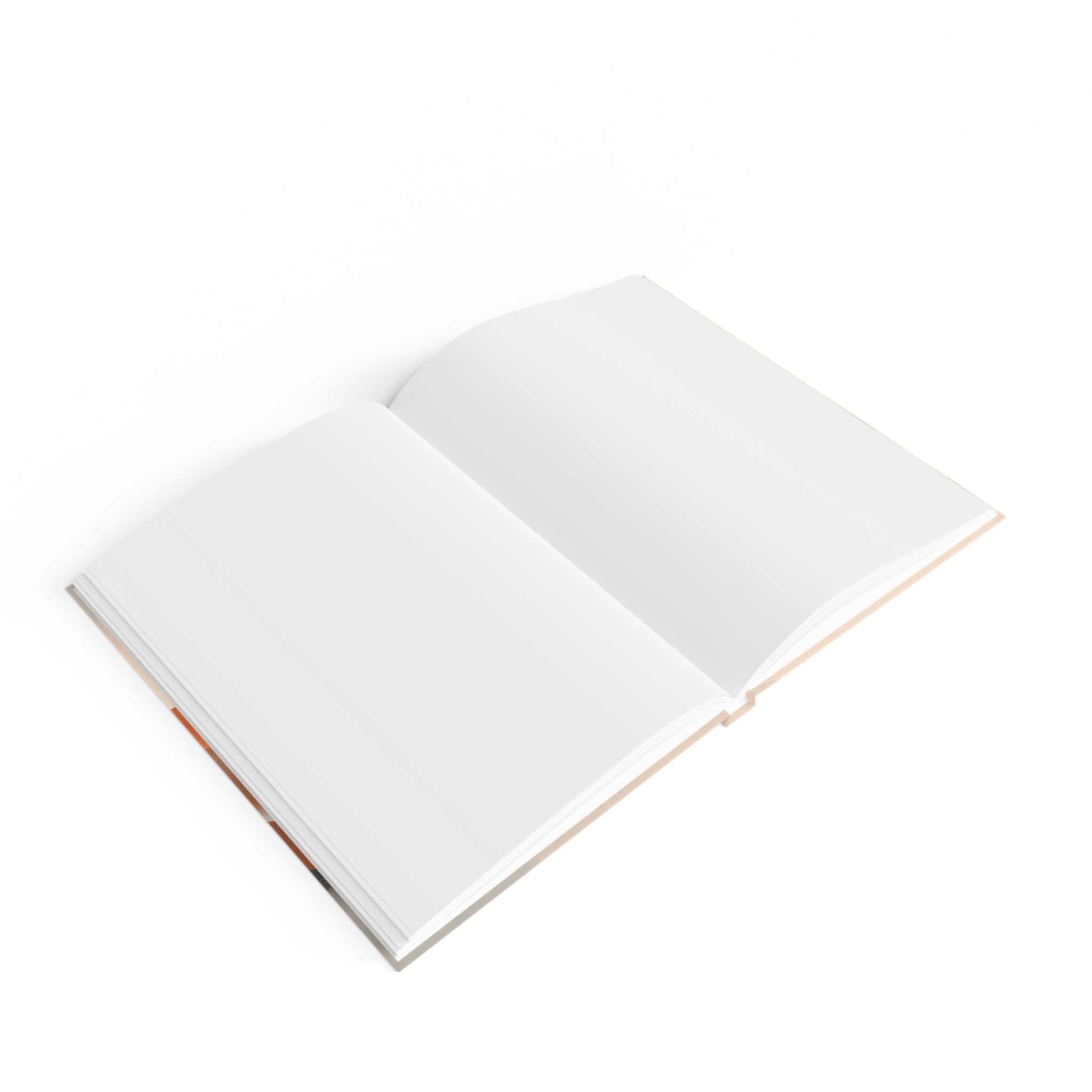 Daily Journal