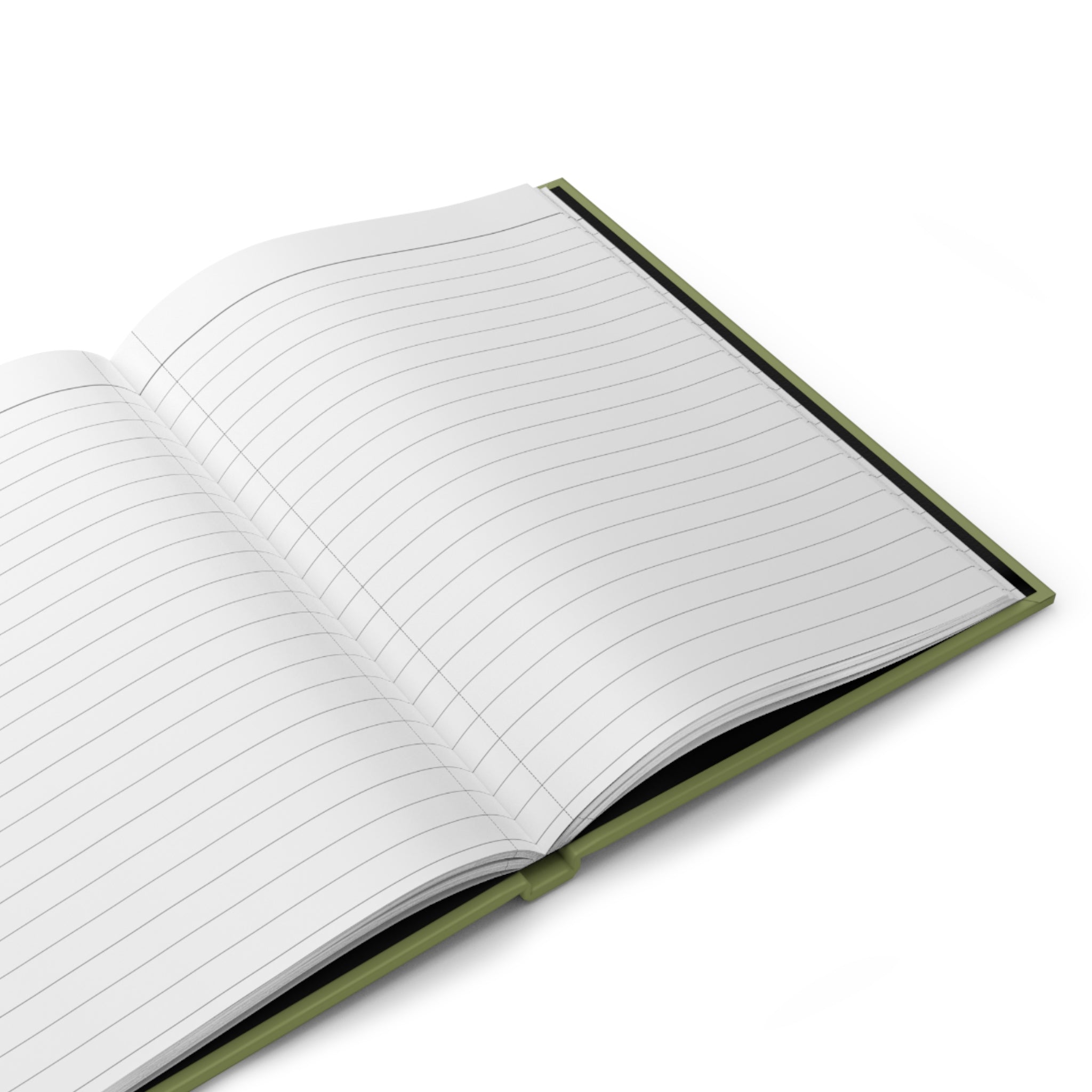 Times I Was Right Journal